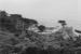 Carmel - Lone Cypress, California - United States of America